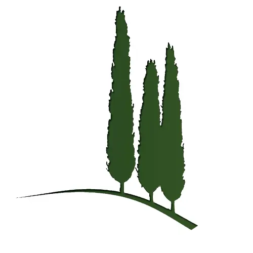 Logo Loic Ducastel (1)