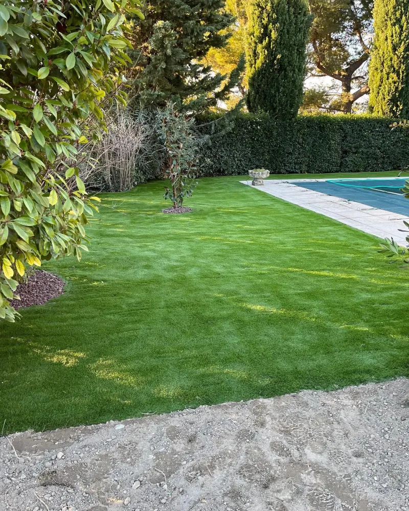 entretien de jardin (2)